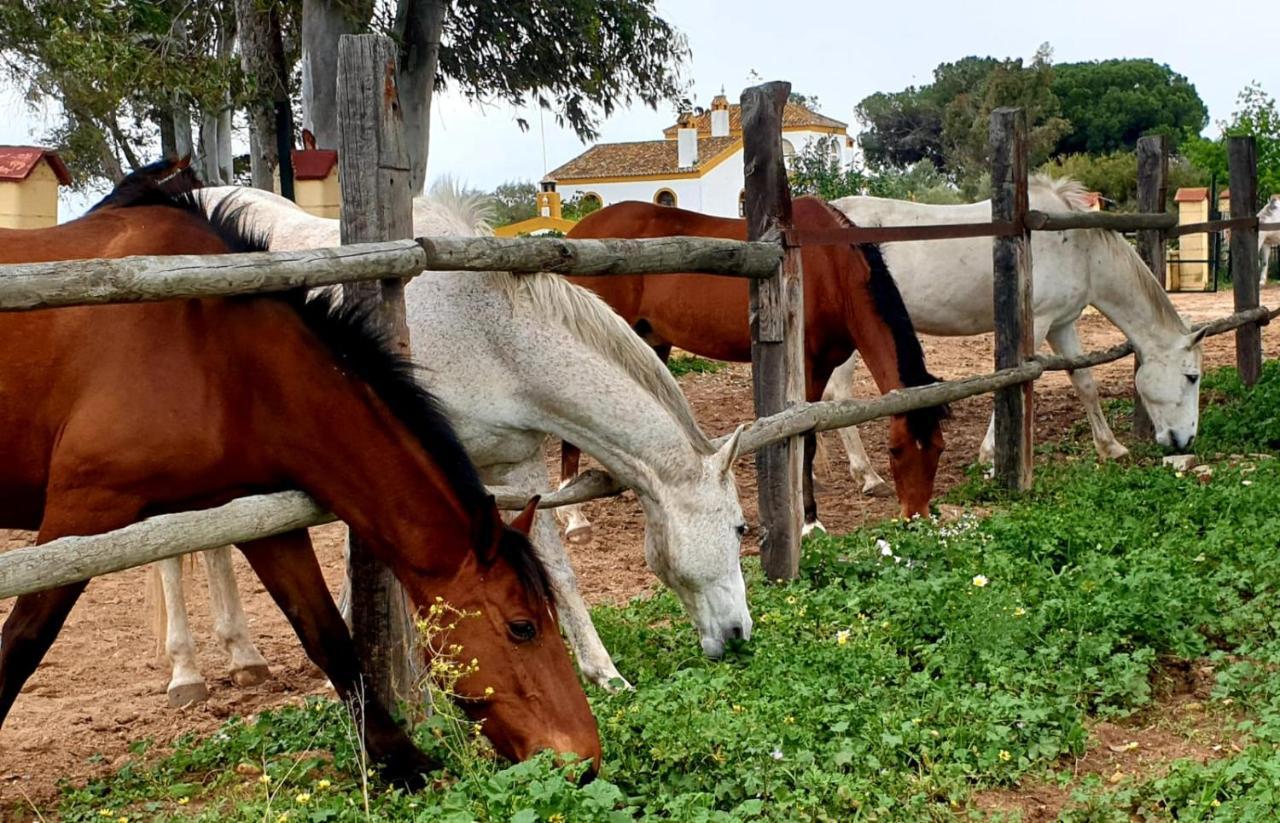 Posada Rural La Corbera Utrera Esterno foto