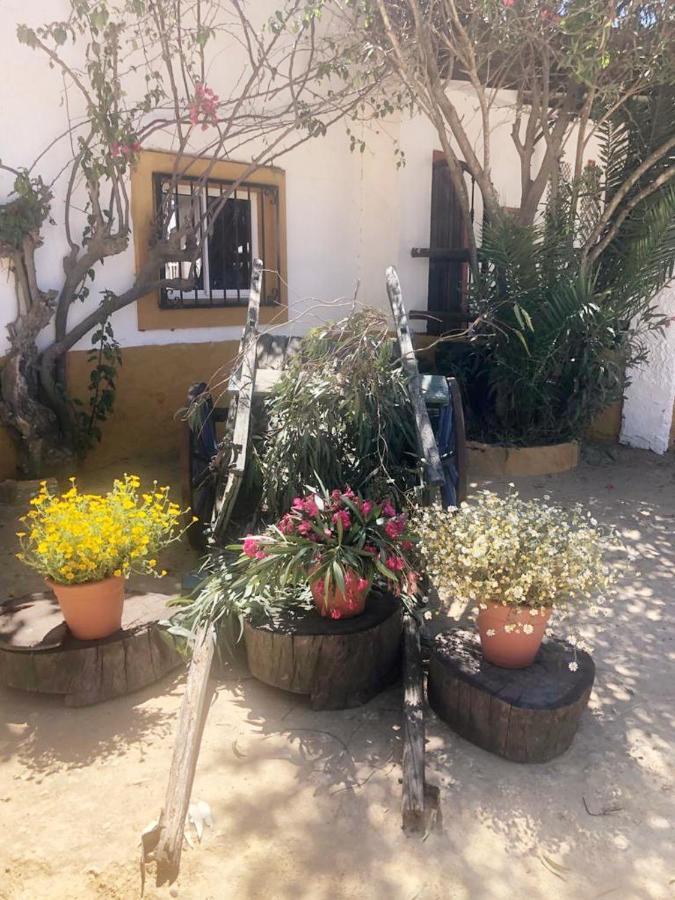Posada Rural La Corbera Utrera Esterno foto